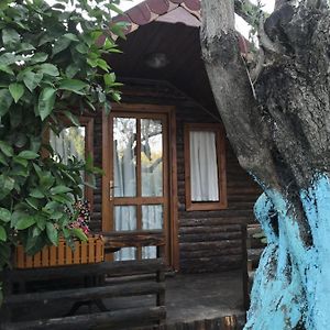 Hotel Zeytindagi Bungalow Mehmetalani Exterior photo