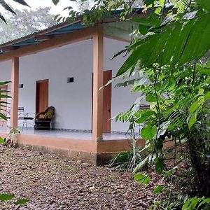 Cabaña Sak Ja Selva Lacandona Nuevo Progreso  Exterior photo