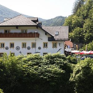 Hotel Ferienhaus An Der Ybbs Opponitz Exterior photo