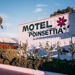 Motel Poinsettia Port Augusta Exterior photo