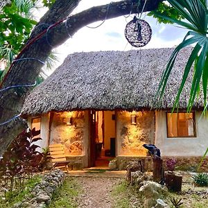 Encantadora Villa Maya Tradicional En Rancho Agroecologico Tzucacab Exterior photo