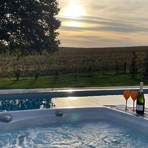 Apartamento Best View, Pool And Spa On The Champagne Vineyard Saint-Thierry Exterior photo