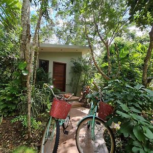 Secret Gardens Bacalar Suite 02 con alberca y bicicletas Exterior photo