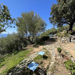 Hotel Casa Musicale Pigna Exterior photo