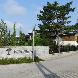 Villa Pinia Goczałkowice-Zdrój Exterior photo