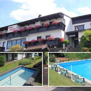 Hotel Pension Talblick Höchst im Odenwald Exterior photo