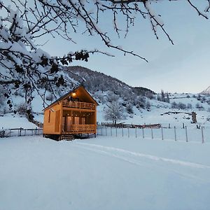 Wood House Hostal Mestia Exterior photo