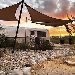 Desert Pearl ⁠— Quick Drive From Big Bend Terlingua Exterior photo
