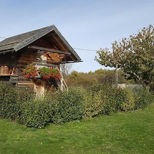 Gite / Chalet Meuble Pour 2 Personnes Le 1780 Villa Saint-Victor-de-Cessieu Exterior photo