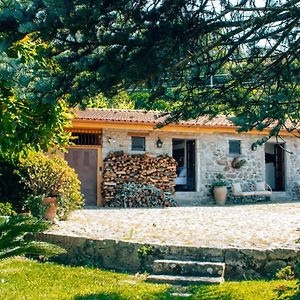 The Quixote House Bed and Breakfast Caminha Exterior photo