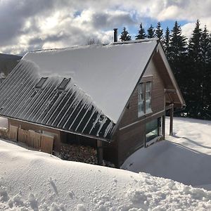 Mountain Chalet Villa Kořenov Exterior photo