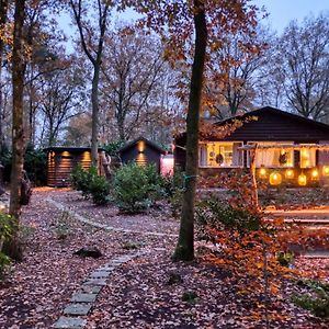 Lodge In Een Bosrijke Omgeving Met Hottub & Sauna Rheezerveen Exterior photo