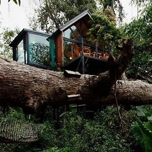 Wilderness Treehouse Villa Doi Saket Exterior photo