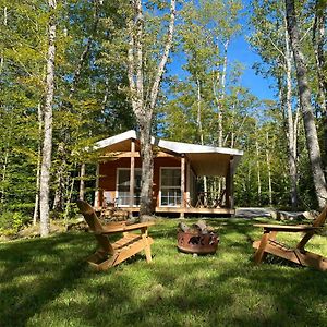 Bear Cabin - Cozy Forest Retreat Nearby Lake East Kemptville Exterior photo