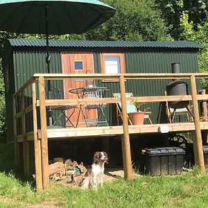 Cute Studio Cottage. Wood Burner. Amazing Views Longhope Exterior photo