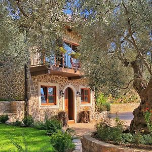 Olive Queen Rustic Estate Bed and Breakfast Bar Exterior photo