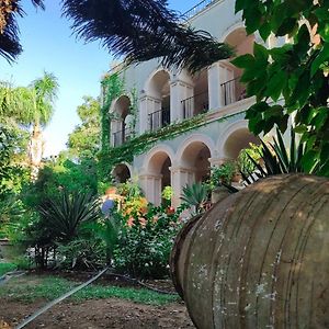 Babil Bahceleri - Gardens Of Babel Bed and Breakfast Lapithos  Exterior photo