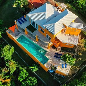 Vieques Villa Gallega - Oceanview W/Infinity Pool Exterior photo