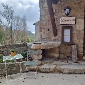 Alojamiento turístico La Socarrimada Villa Rojals Exterior photo
