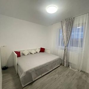 Apartamento Urban Escape With Free Parking&Wi-Fi Chiajna Exterior photo