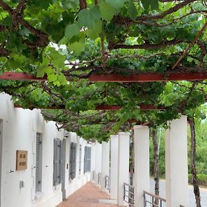 Port Wine Guesthouse Calitzdorp Exterior photo