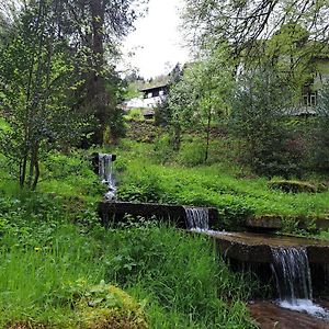 Apartamento Wohn-Eitel Sonnenblick Bad Wildbad Exterior photo