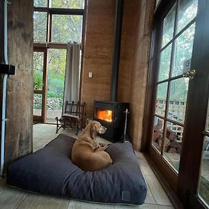 Mountolive Studio - Dog Friendly Villa Hovea Exterior photo
