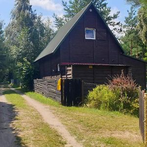 domki nad jeziorem do 10 osób jezioro Wilczyńskie Budzisławskie - domek letniskowy osobno ogrodzony, ogrzewany - wielkopolska Villa Zygmuntowo  Exterior photo