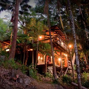 Currumbin Rainforest Treehouse Villa Currumbin Valley Exterior photo