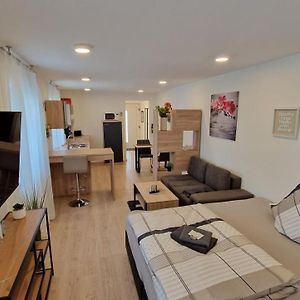 Appartment-Ferienwohnug mit Küche, Bad, kostenlos WLAN und Stellplatz, Modern eingerichtet Roding Exterior photo