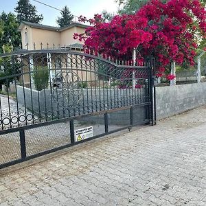 Muhtesem Doga Manzarali Villa Ucretsiz Internet Antalya Exterior photo