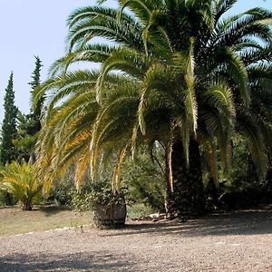 Catalunya Casas Rural Charm On An Olive Farm In Costa Dorada! Vespellà Exterior photo