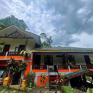 Garden Grove Guest House & Coffee Bar Bukit Lawang Exterior photo