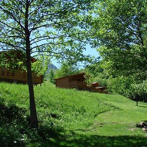 Wood Cabins In The Heart Of Transylvania Coltesti Exterior photo