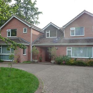 Cameron House Bed and Breakfast Landford Exterior photo