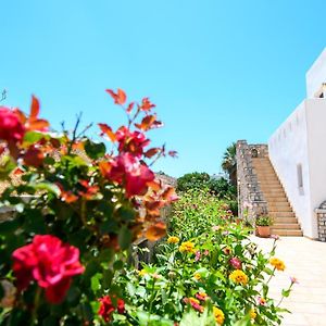 Villa Andromeda Amorgos Exterior photo