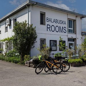 Balabuska Rooms Codevigo Exterior photo