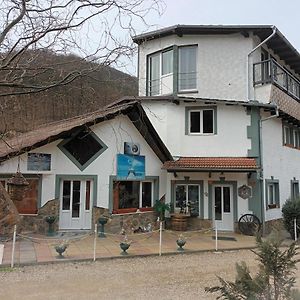 Cabana Micutu Villa Sebeş Exterior photo