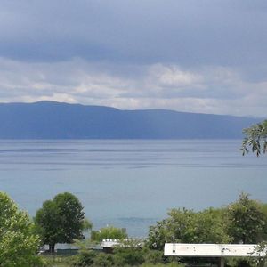 Elesec House Villa Ohrid Exterior photo