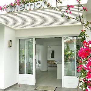 Anemoni Beach Hotel Skiathos Exterior photo