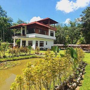 Villa Cheeky Monkeys Bukit Lawang Exterior photo