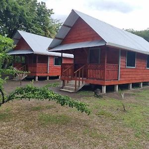 Cabinas Tortuguero Sports Fishing Bed and Breakfast Exterior photo