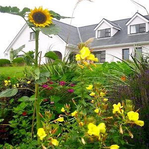 Cregg House Bed and Breakfast Clifden Exterior photo