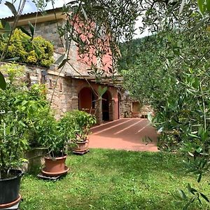 La Casetta Al Lavatoio Villa Borgo a Mozzano Exterior photo