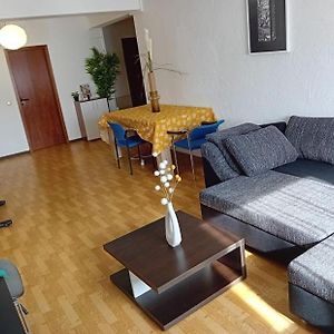 Apartamento Workation Taunus Jaguar Zentral Viel Platz Comfort 6 Personen Kueche, Waschmaschine & Trockner Kelkheim Exterior photo