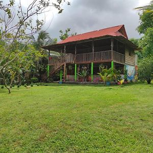 Hostal Flor Tayrona Santa Marta  Exterior photo