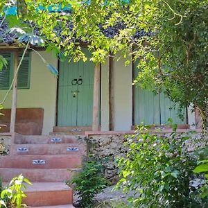 Yasmin Ecohouse Kizimkazi Villa Exterior photo