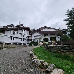Hotel Randunica Văliug Exterior photo