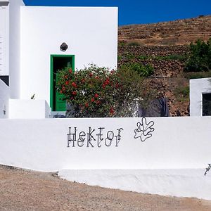 Hektor - Farm, Arts & Suites Teguise  Exterior photo