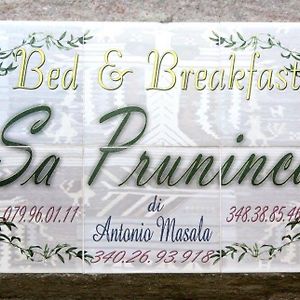 Sa Pruninca Bed and Breakfast Villanova Monteleone Exterior photo
